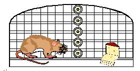 ������(btt)����-918������,������ܳ�